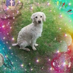 Meet your Posher, Mary